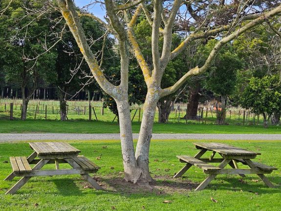 Bulls holiday park picnic area